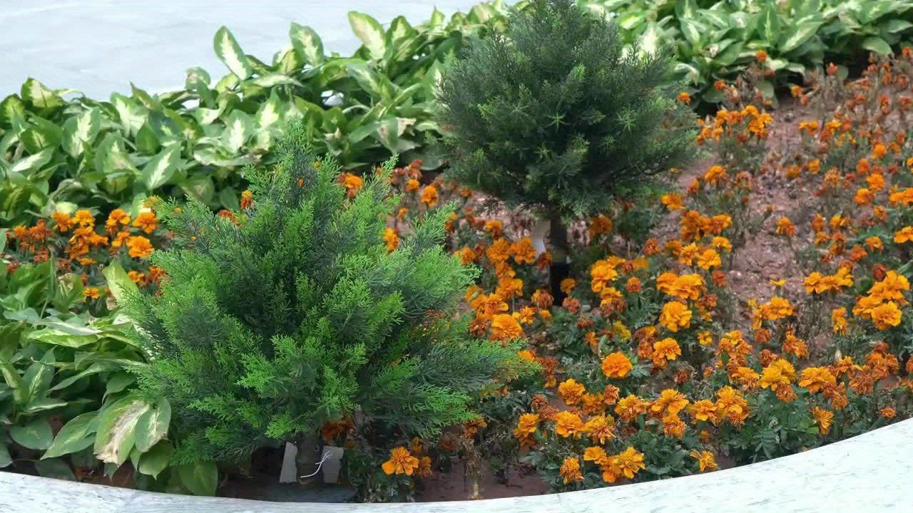 26-Inch UV-Resistant Artificial Cedar Ball Tree Conifer