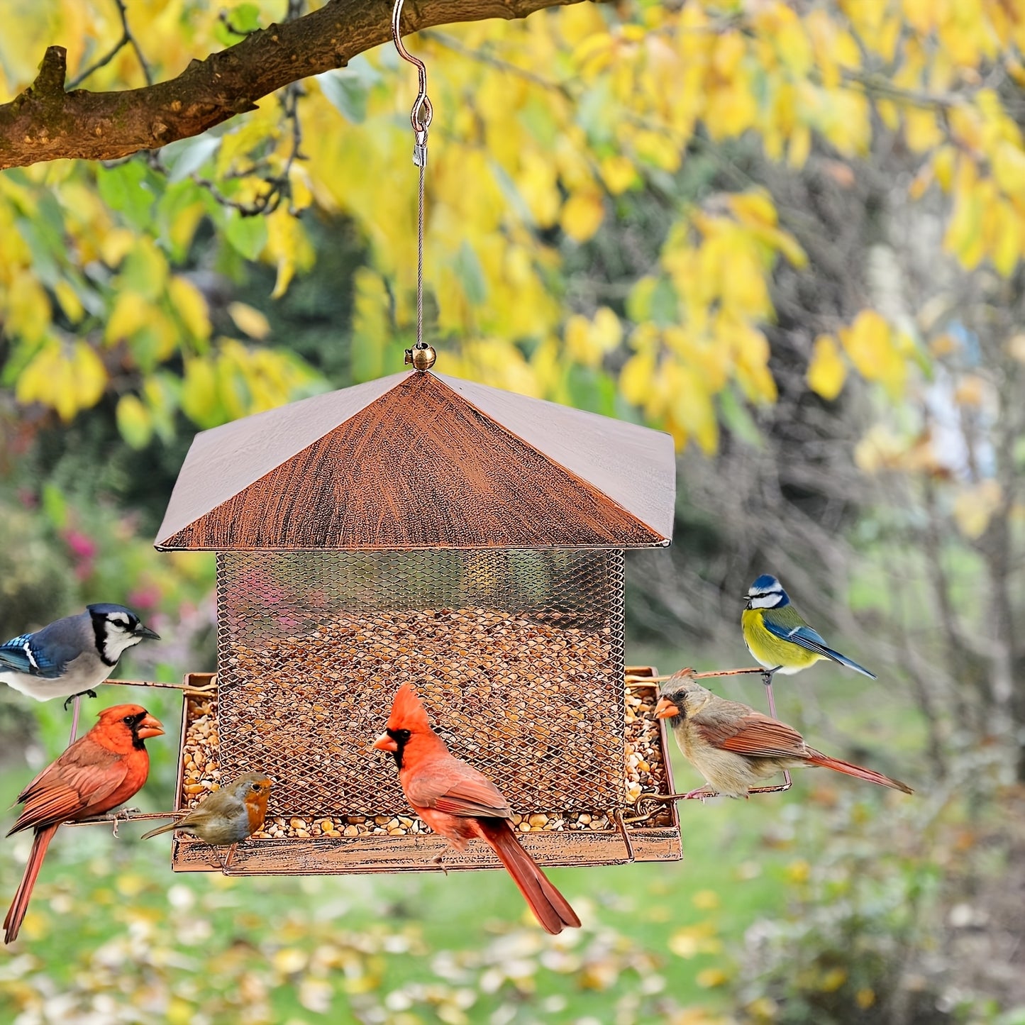 1pc Rustic Metal Bird Feeder with Squirrel Guard - Heavy-Duty Hanging Wild Bird Feeder for Garden, Patio, Backyard - No Electricity or Batteries Required, Outdoor Decorative Wildlife Feeding Station, Bird Feeders for Outside