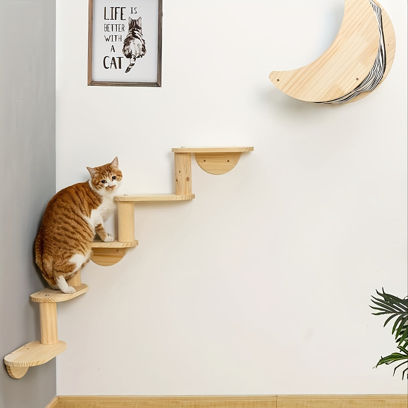 Sturdy Wooden Cat Wall Shelf - 3/5-Level Climbing Ladder & Perch for Indoor Cats, Interactive Play and Exercise Furniture