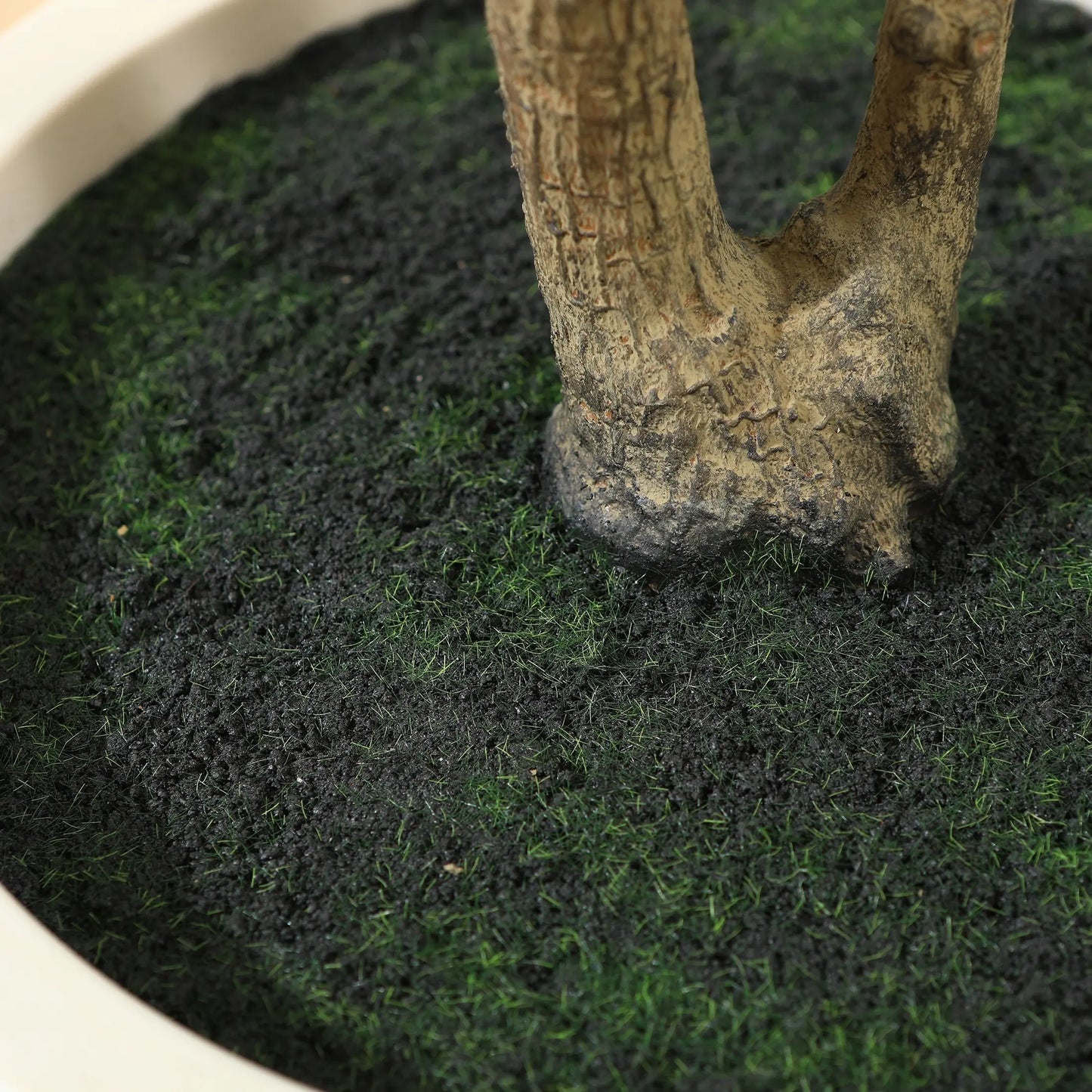Olive Tree