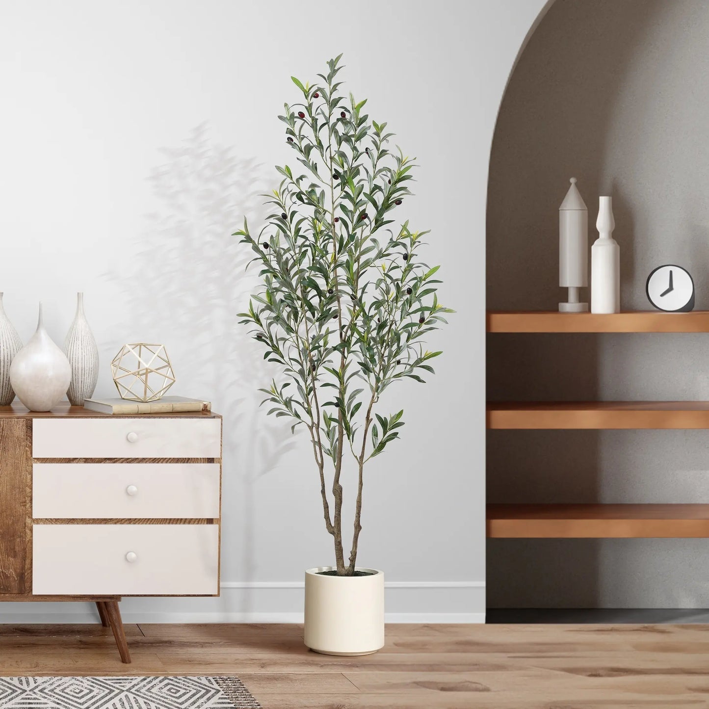Olive Tree
