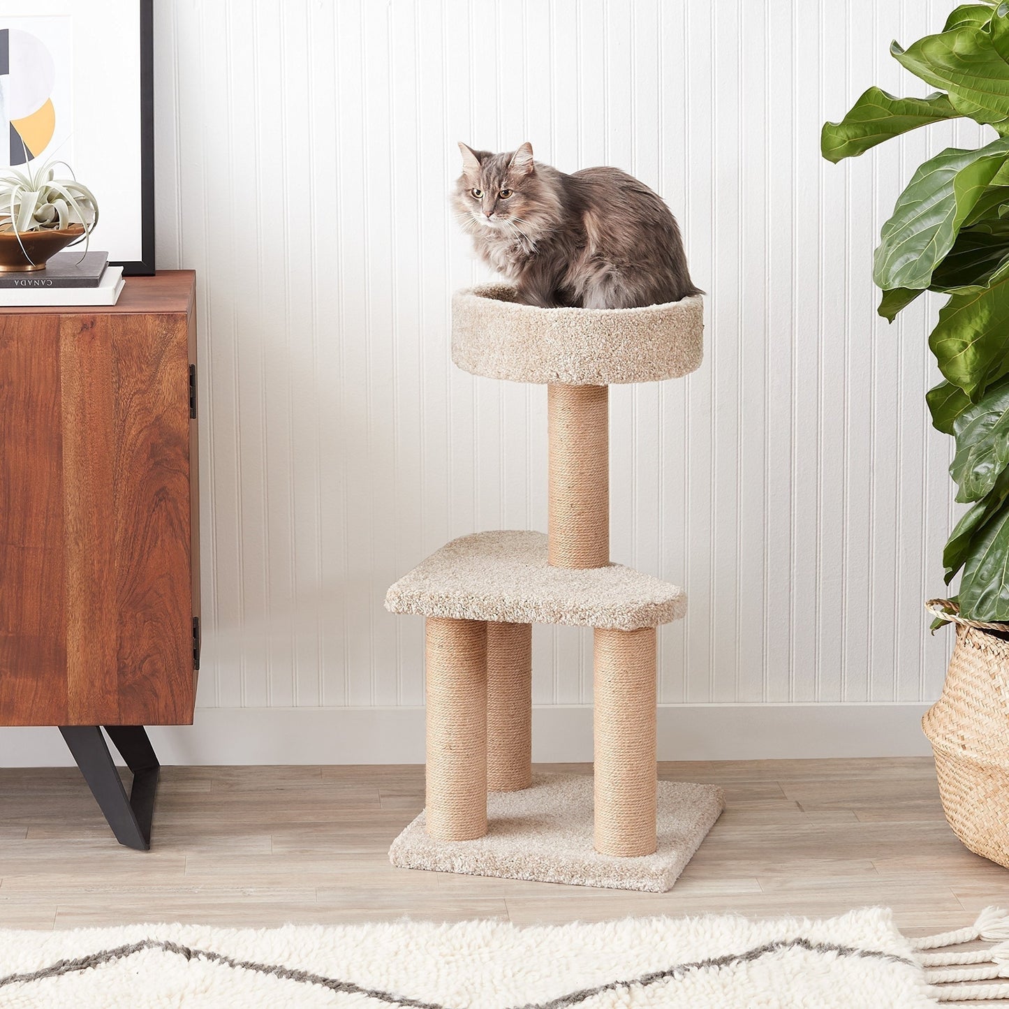 15.7 x 31.5 Inches Beige Cat Tree Indoor Climbing Activity Tower with Scratching Posts, Medium