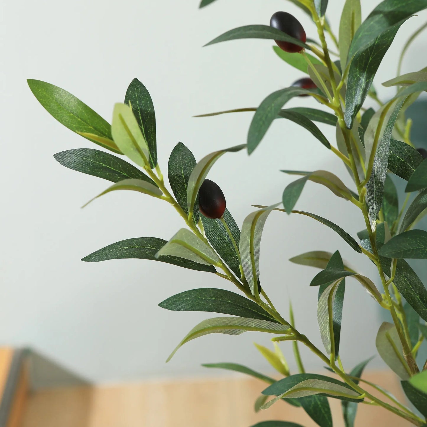 Olive Tree