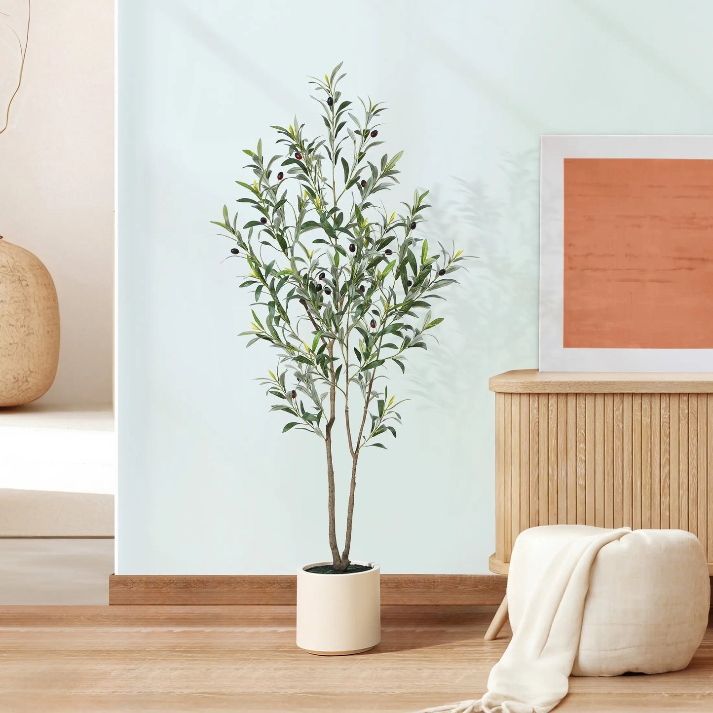 Olive Tree