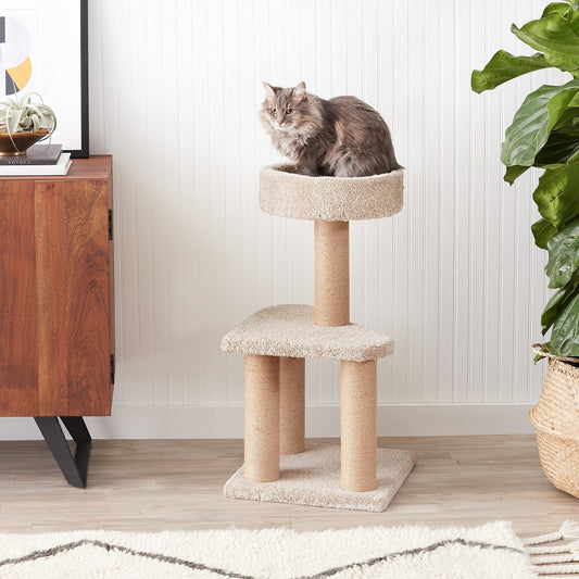 15.7 x 31.5 Inches Beige Cat Tree Indoor Climbing Activity Tower with Scratching Posts, Medium