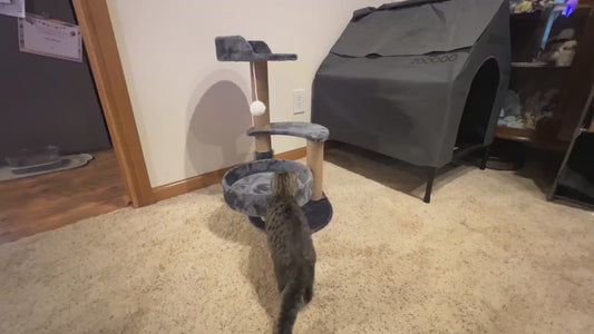 Multi-Level Cat Tree With Scratching Post And Interactive Ball Toy - Perfect Indoor Cat Furniture For Play And Rest